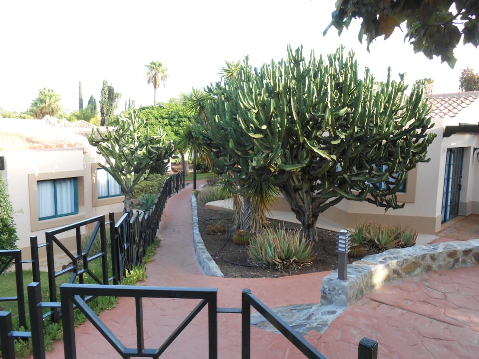 Gartenanlage allsun Hotel Esplendido