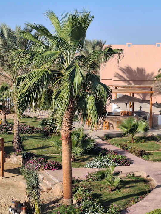 Gartenanlage Three Corners Equinox Beach Resort