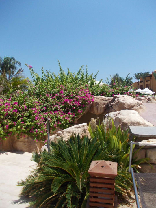 Красивые насаждения Stella Garden Resort & Spa, Makadi Bay