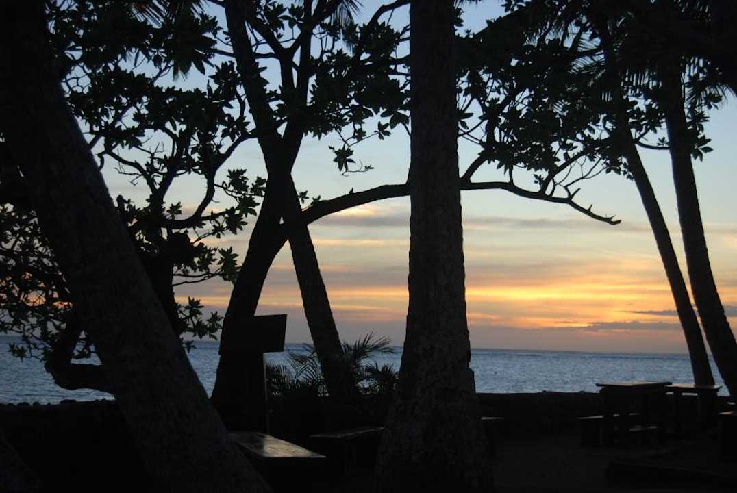 На территории отеля. Warwick Fiji Hotel