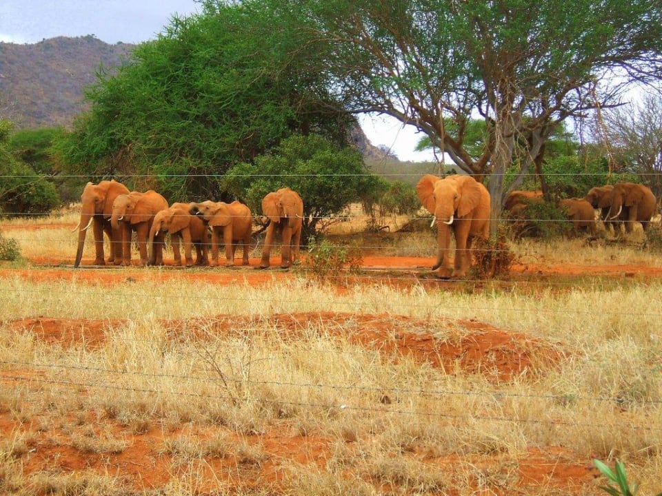 Bush house view into the park Red Elephant Safari Lodge