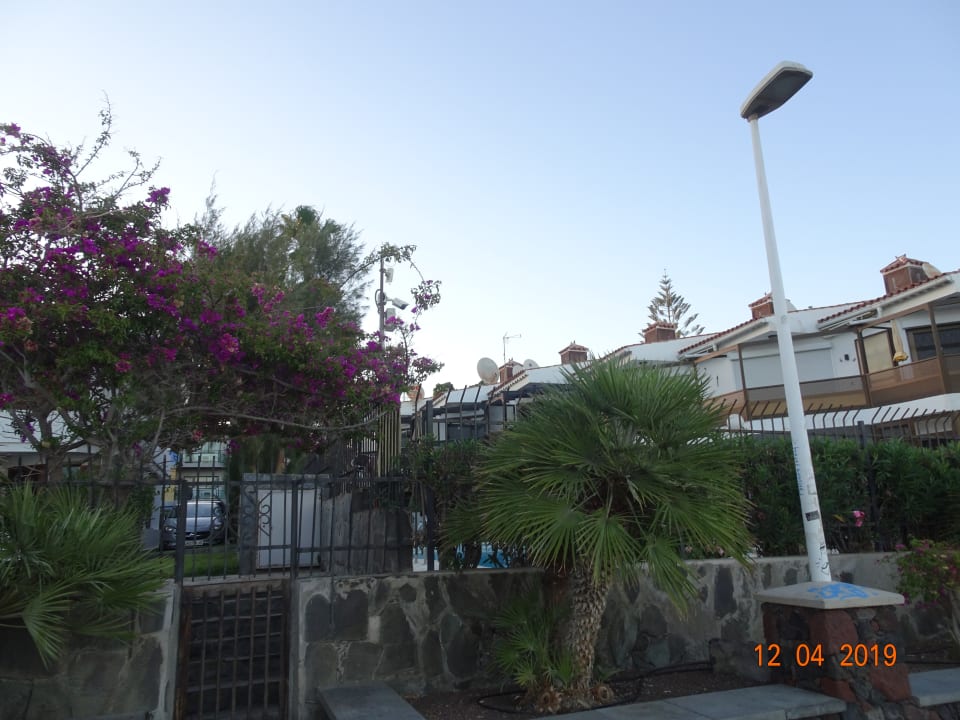 Ausblick Hotel Riu Palace Palmeras