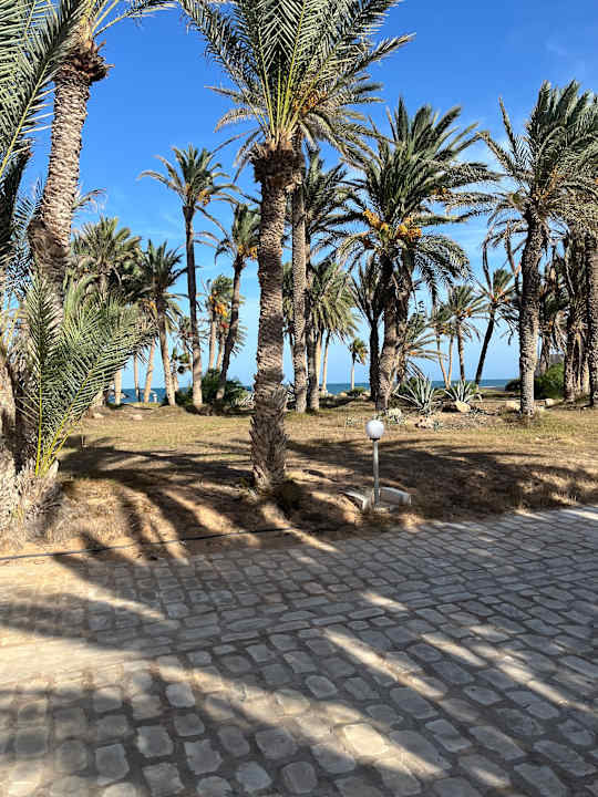 Gartenanlage Zita Beach Resort