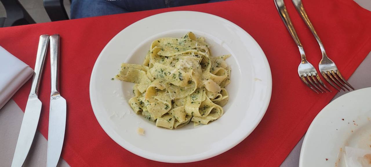 Gastro Seashell Vega