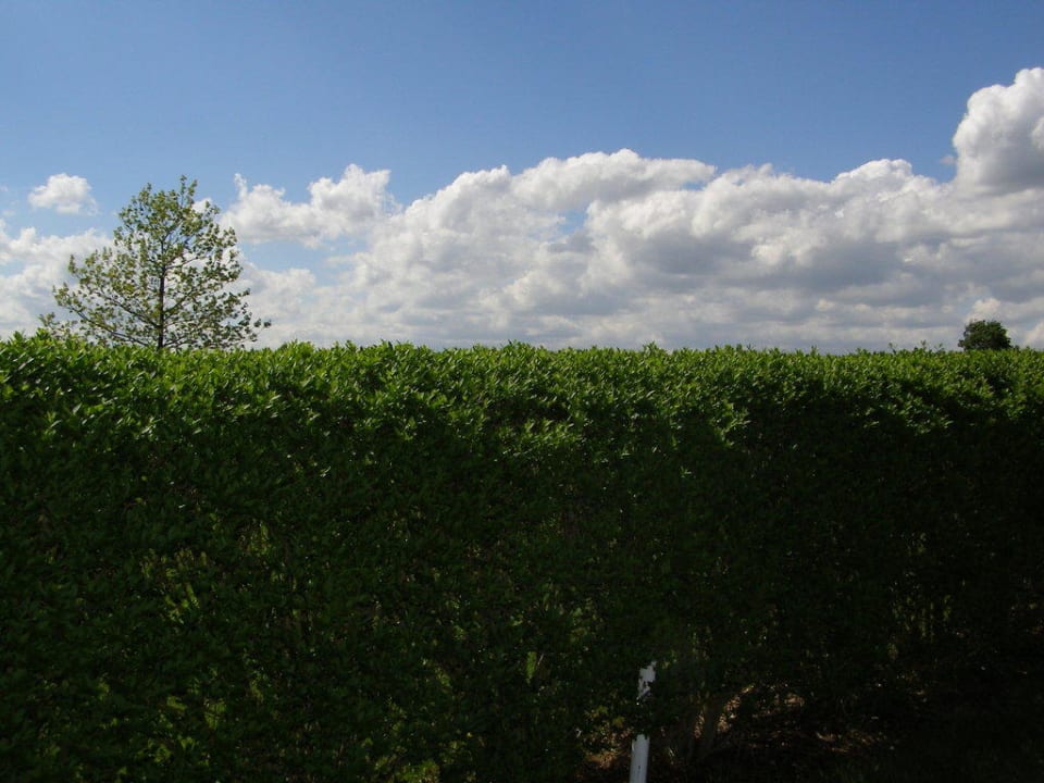 Areal Hotel Reiters Supreme