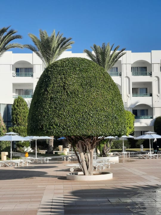 Außenansicht Mahdia Palace Thalasso