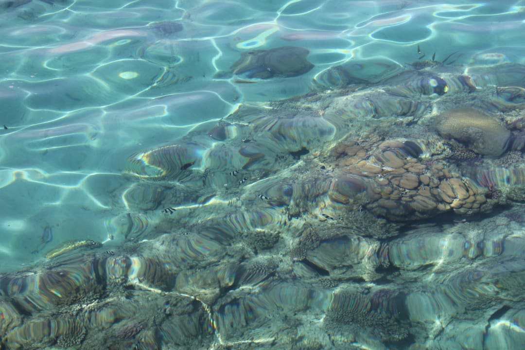 Самое прозрачное море