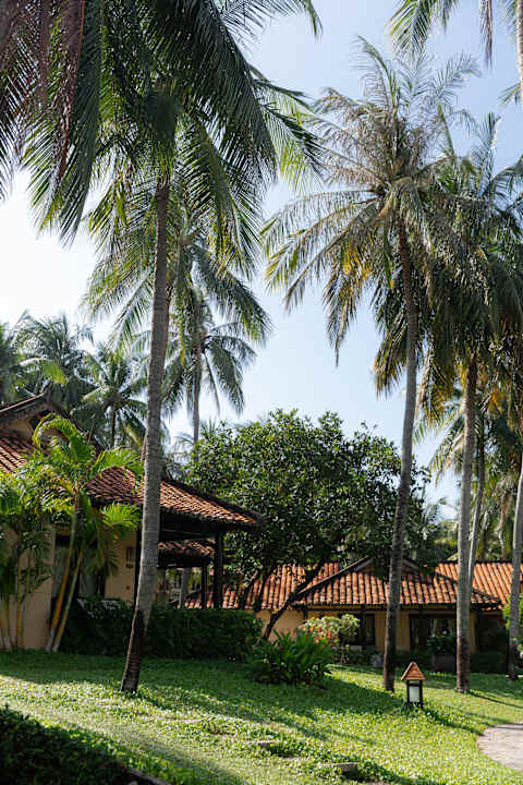 Gartenanlage Seahorse Resort & Spa