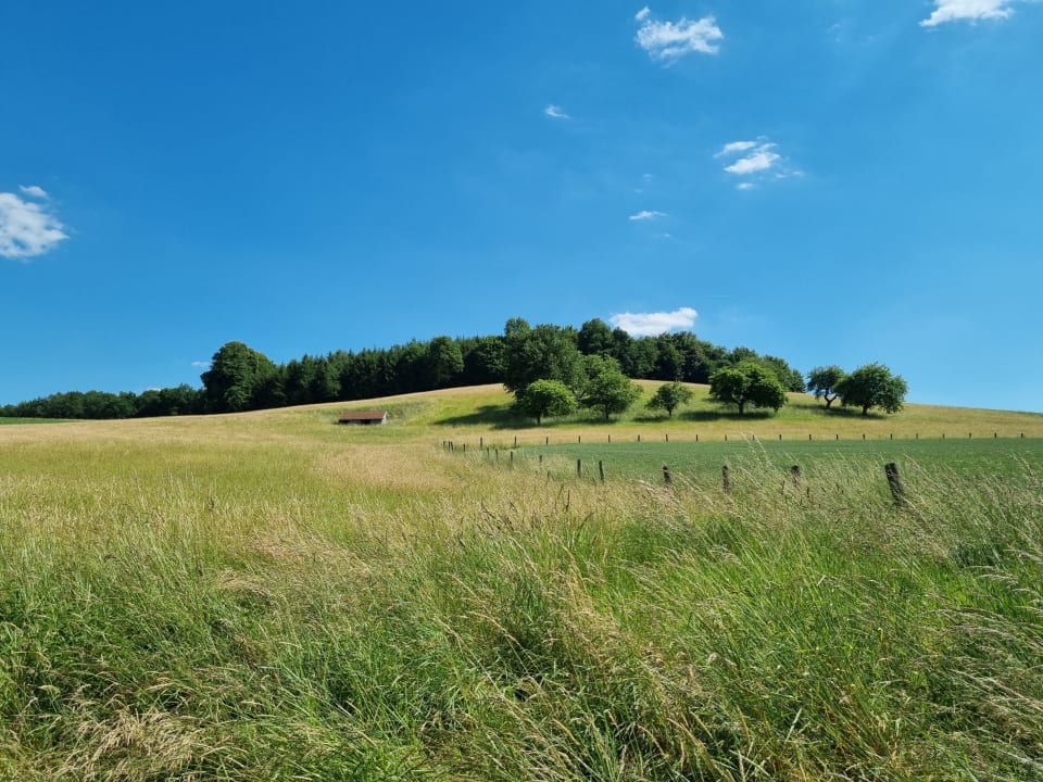 Außenansicht Ferienwohnung Bergmaier