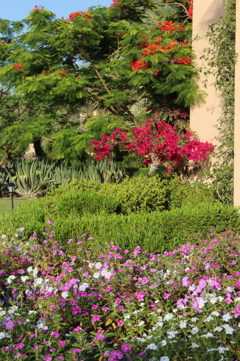 Garten Steigenberger Coraya Beach - Adults only