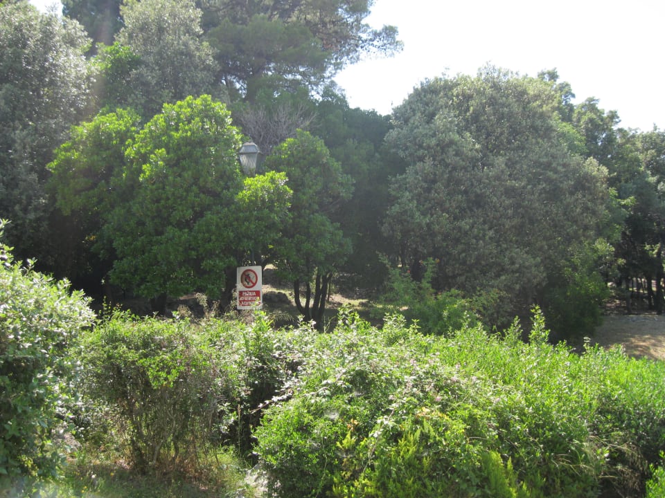Blick aus unserem Zimmer Sunny Dubrovnik by Valamar