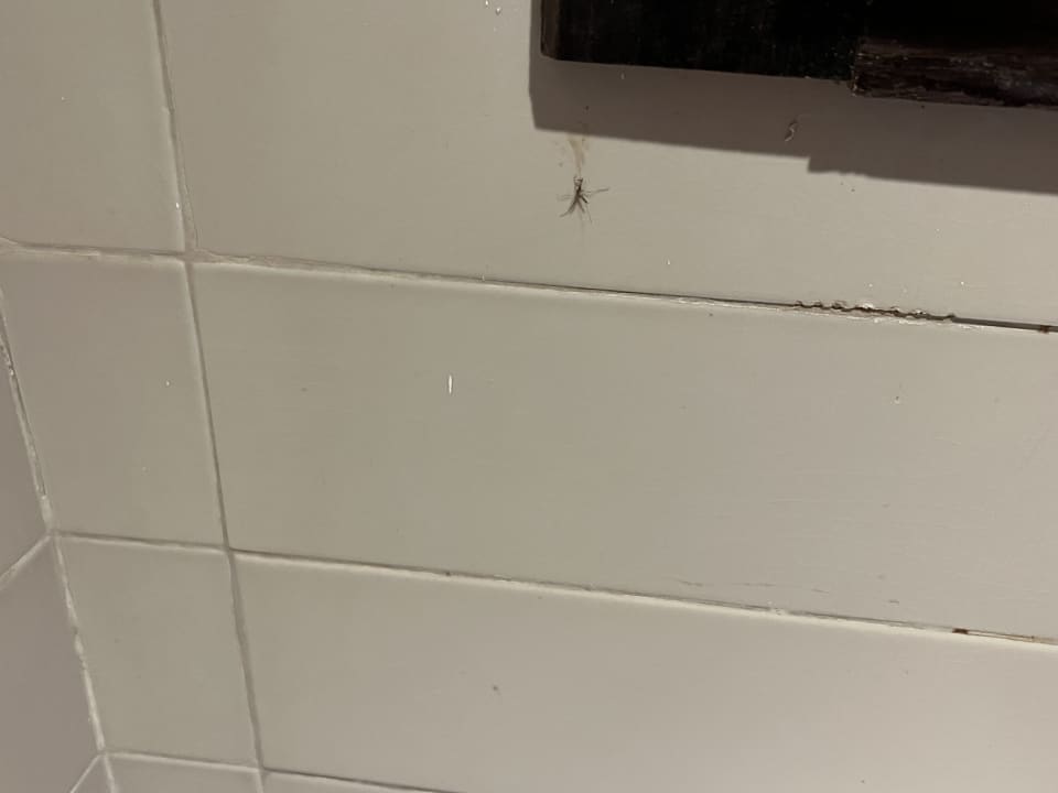 Zimmer Hotel Rosa Beach