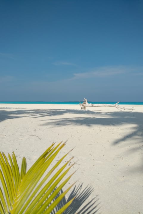 Strand Hondaafushi Island Resort