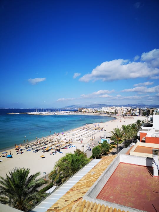 Ausblick Hotel Edén Palma Playa - Adults Only