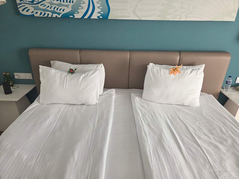 Zimmer Seashell Resort