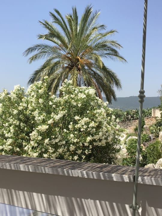 Außenansicht Hotel Masseria Alchimia Resort