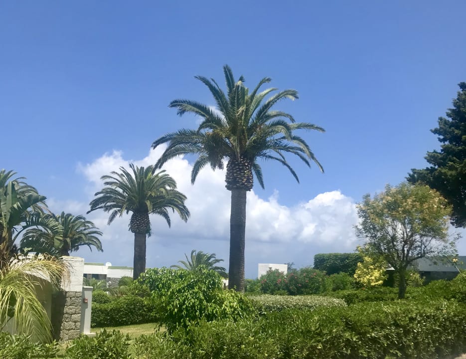 Gartenanlage Aldiana Club Rocca Nettuno Calabria