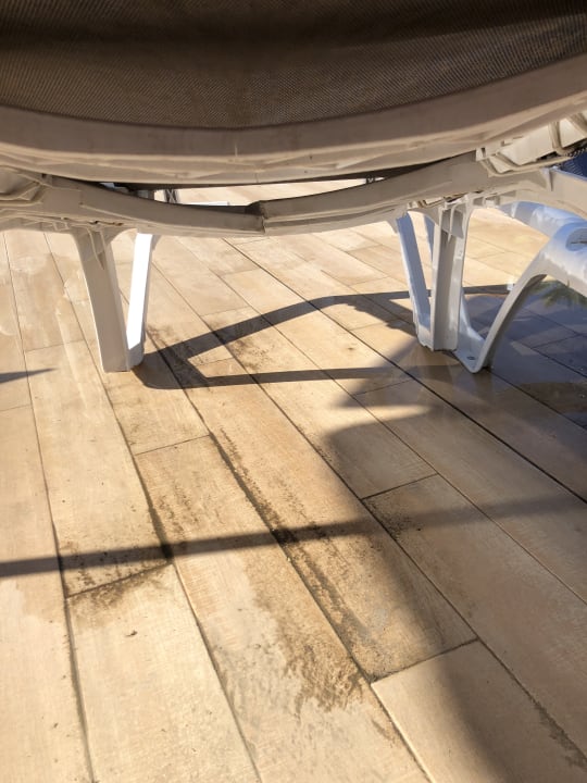 Pool Alcudia Garden Aparthotel