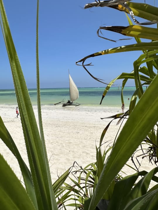 Strand Neptune Pwani Beach Resort & Spa