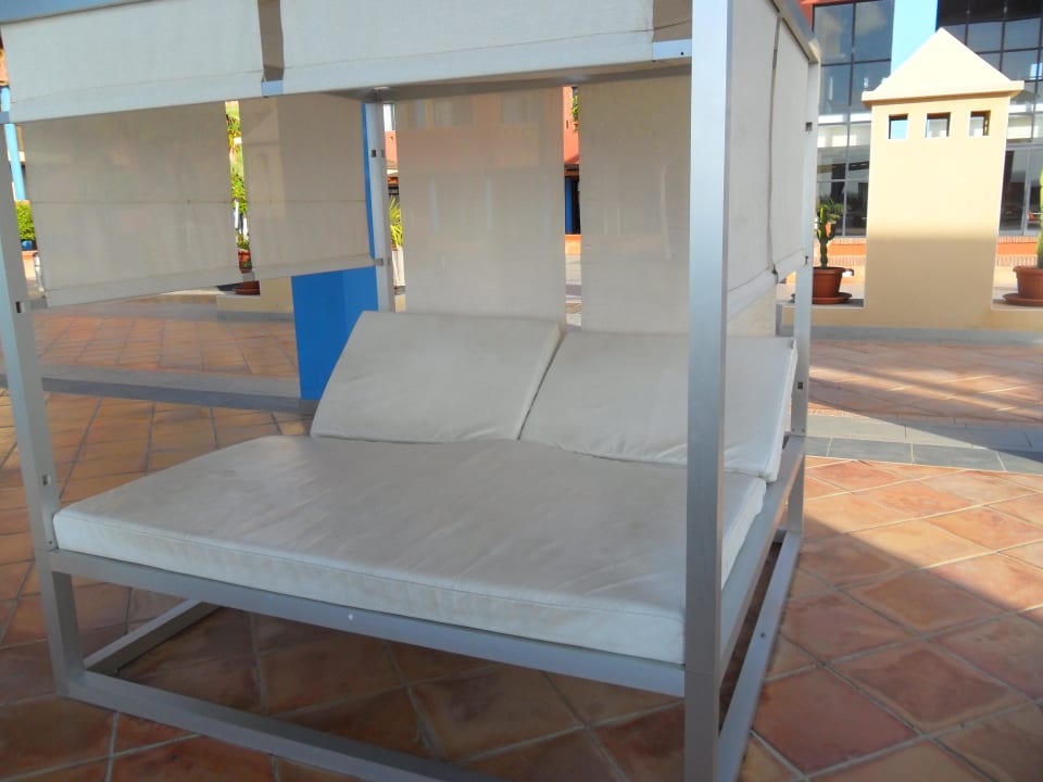 Tolle Liege  H10 Tindaya