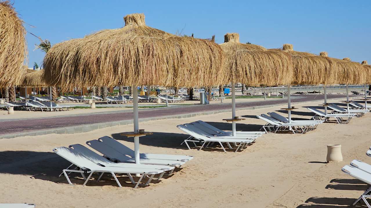 Strand JAZ Elite Asteria