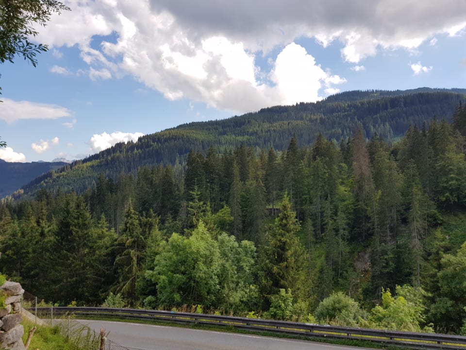 Ausblick Ferienbauernhof Elmaugut