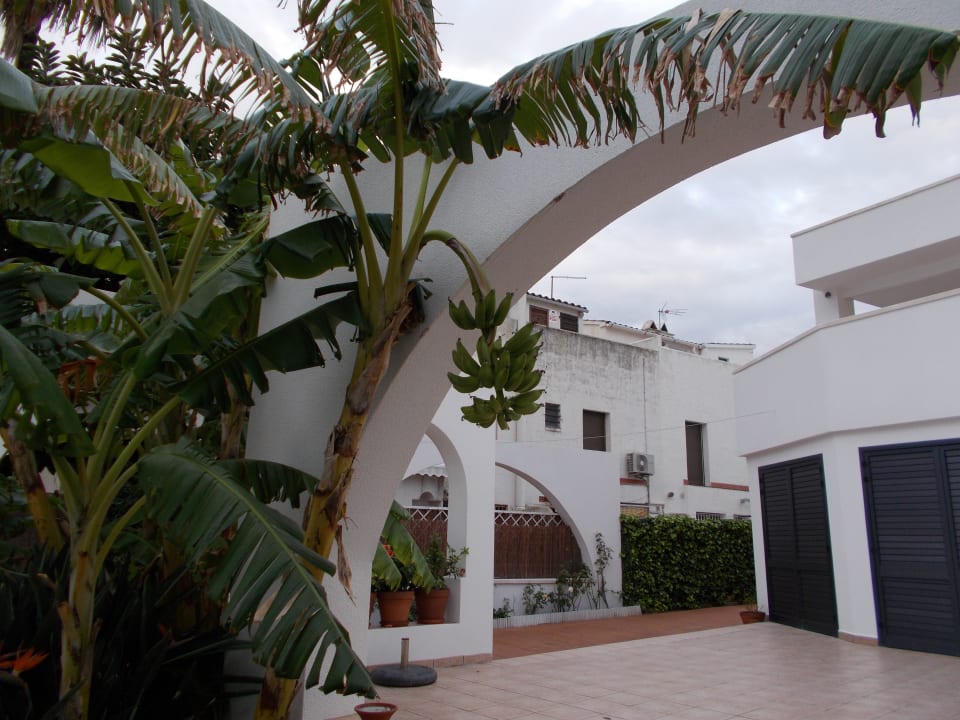 Sonstiges Estival ElDorado