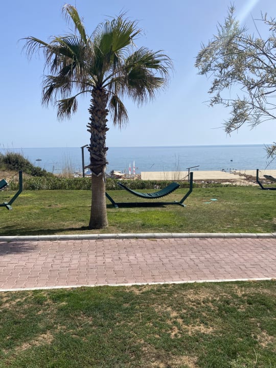 Ausblick TUI MAGIC LIFE Jacaranda