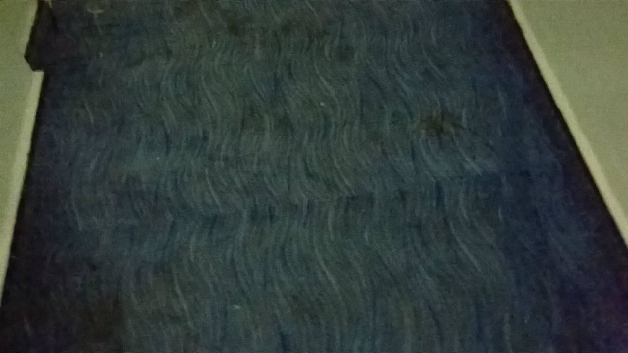 Teppich Flur Hotel Aslan City Kleopatra