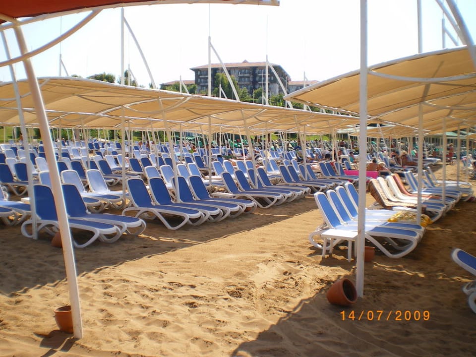 Liegen Alba Queen Hotel