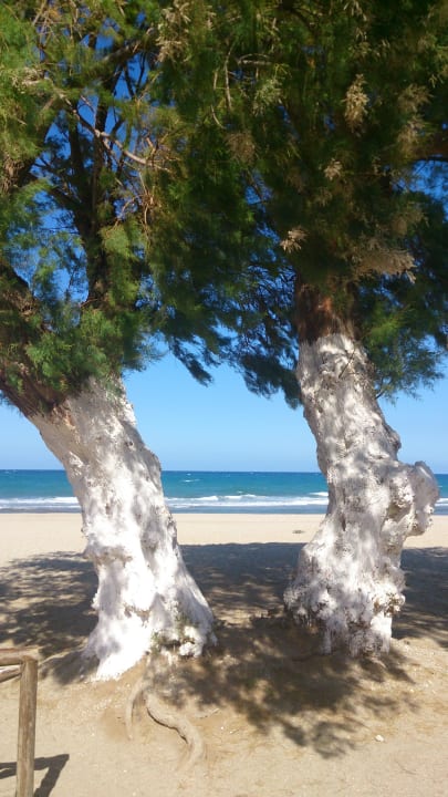 Natur Pur Anissa Beach & Village