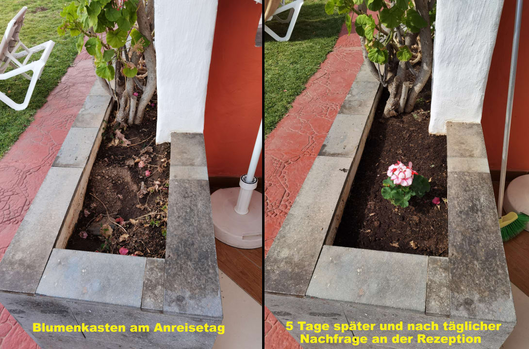 Gartenanlage HL Miraflor Suites Hotel