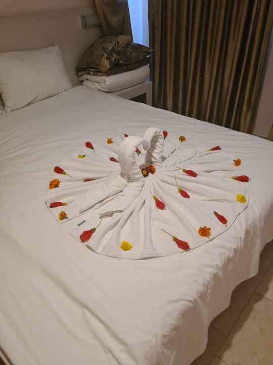 Zimmer Hotel Club Paradiso