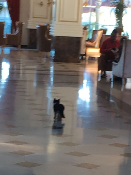 Sonstiges Castival Hotel