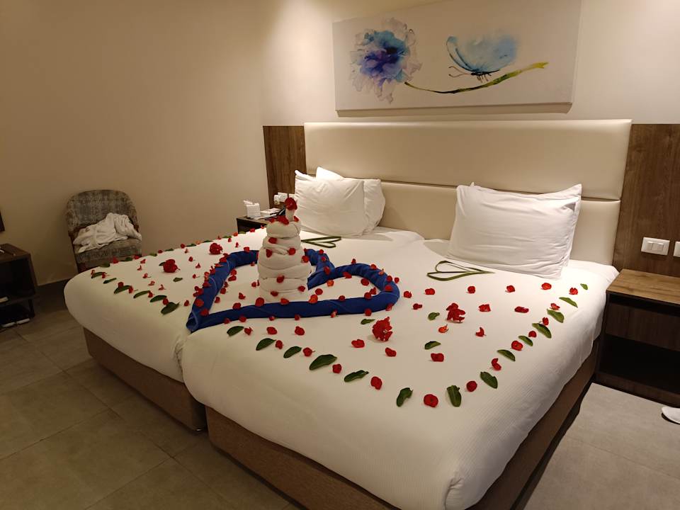 Zimmer Pickalbatros Laguna Club Resort