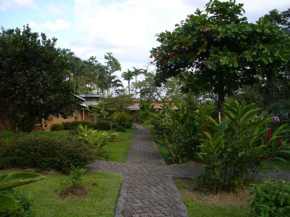 Blick durch den Garten Hotel La Catarata Eco Lodge
