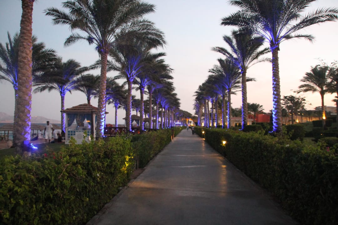 Palmengesäumter Weg Rixos Sharm El Sheikh Adults Only 18 +