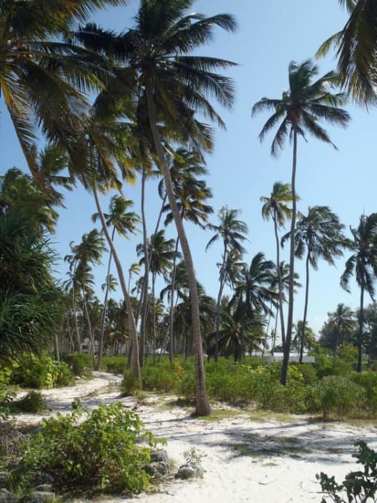 Przy plaży Hotel Kiwengwa Beach Resort