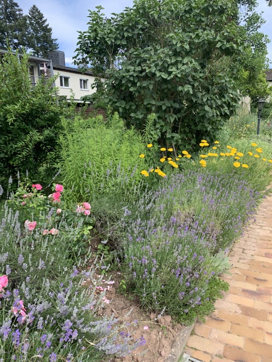 Außenansicht Menschels Vitalresort