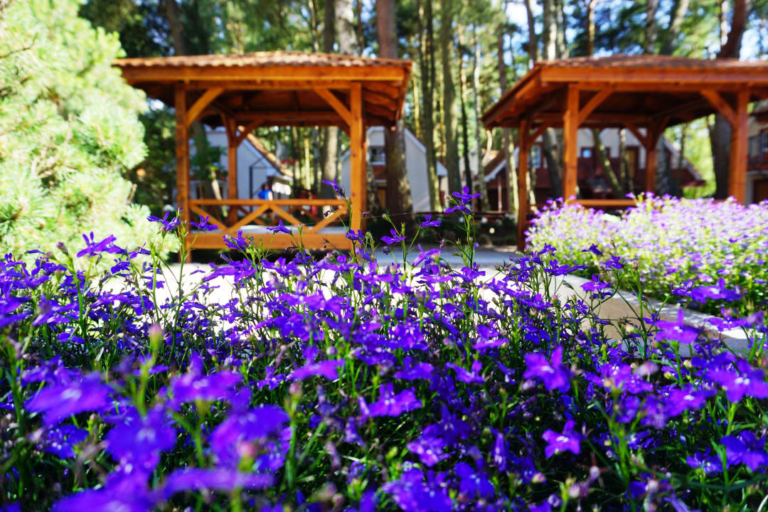 Gartenanlage Laguna Kompleks Wypoczynkowo Rekreacyjny
