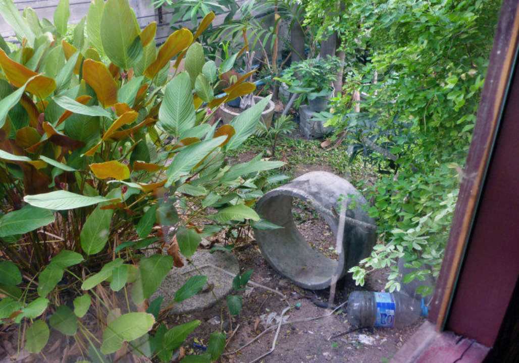 Ausblick aus dem Zimmer Hotel The Cottage