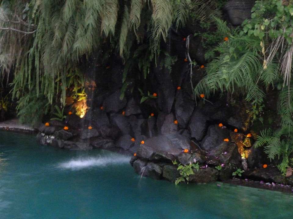 Pool mit täglich frischen Blüten Jamahal Private Resort & Spa