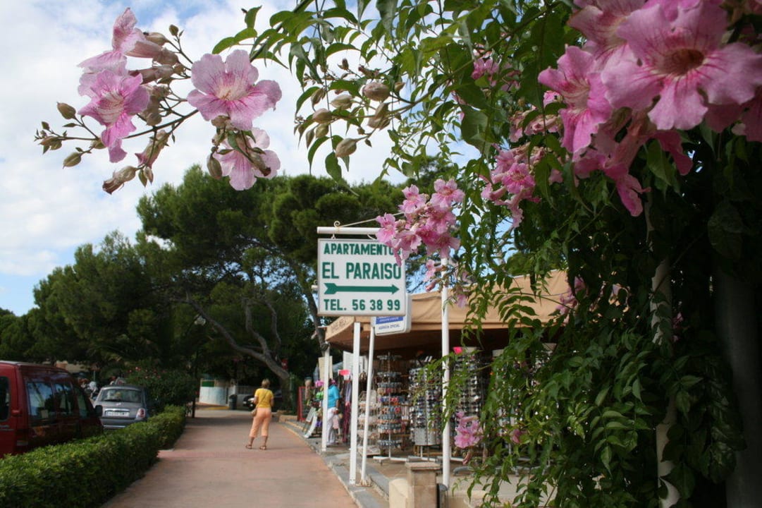 Folge dem Pfeil  Paradise Residencial