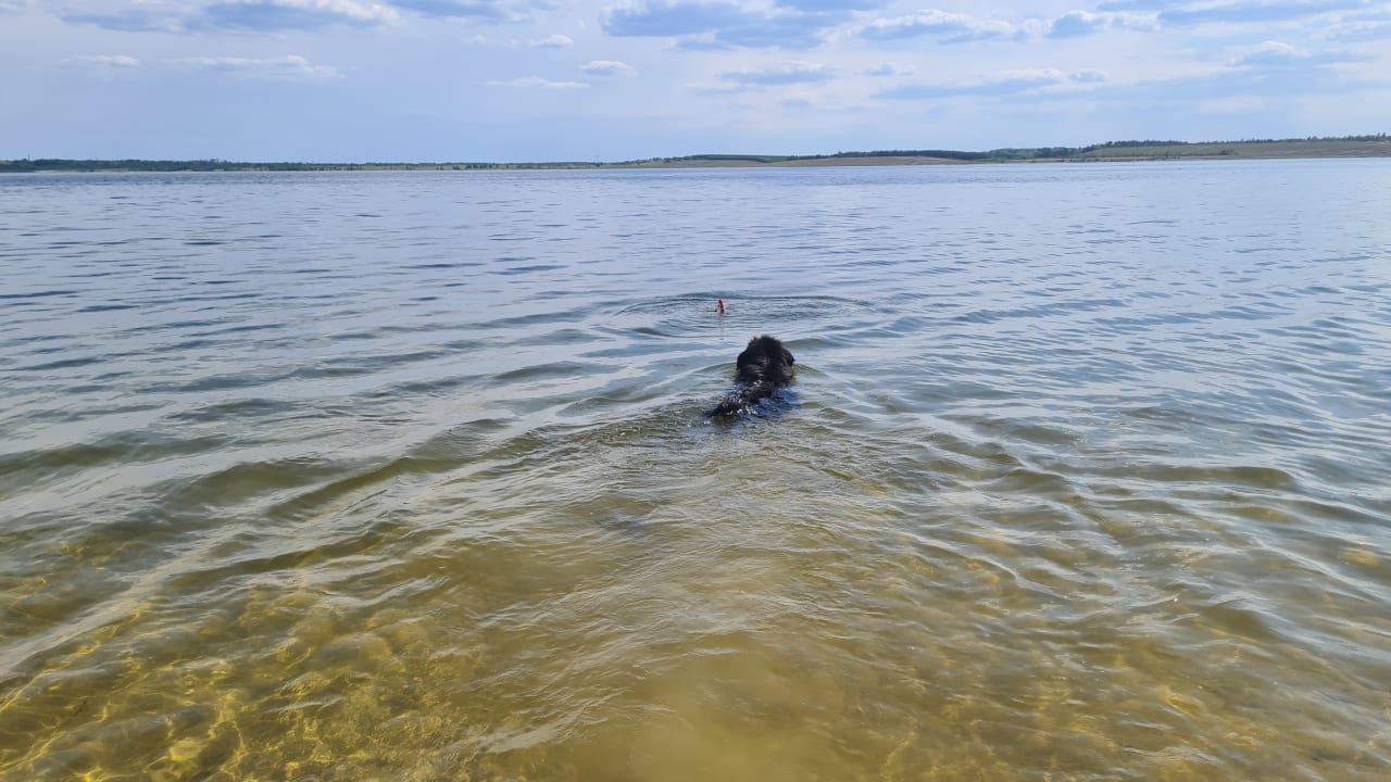 Strand SeeHotel Großräschen