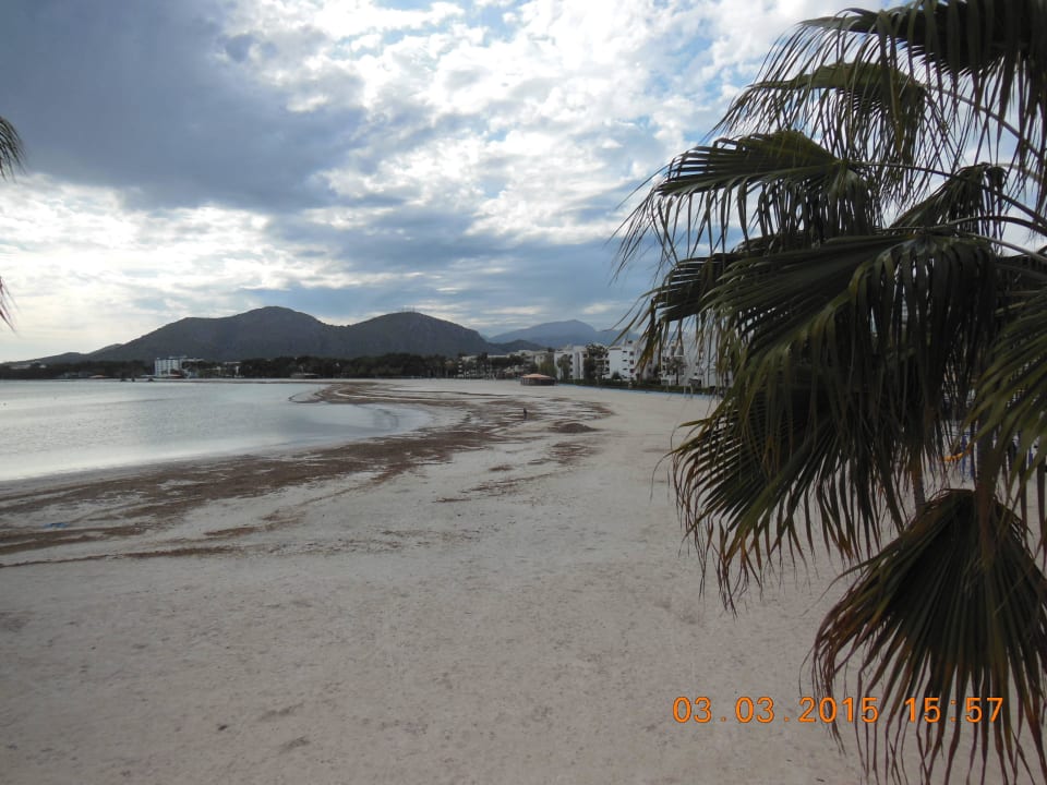 Der Srand in März Alcudia Garden Aparthotel