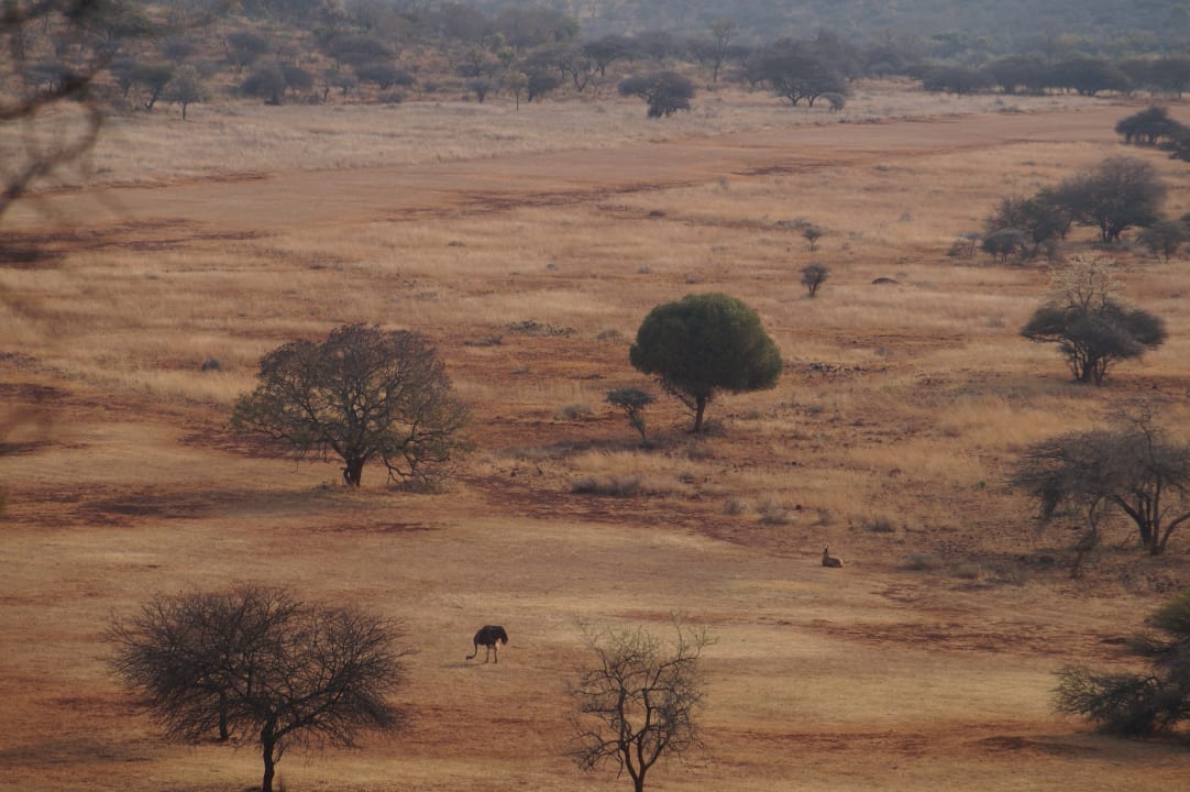 Ausblick Hannah Game Lodge