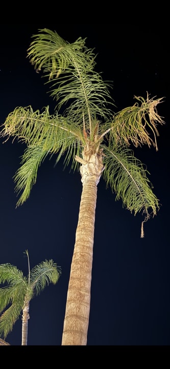 Gartenanlage The Costa Lindia Blue Star - Adults only