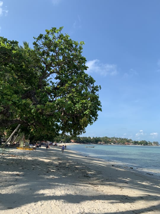 Strand Hotel Baan Chaweng Beach Resort & Spa