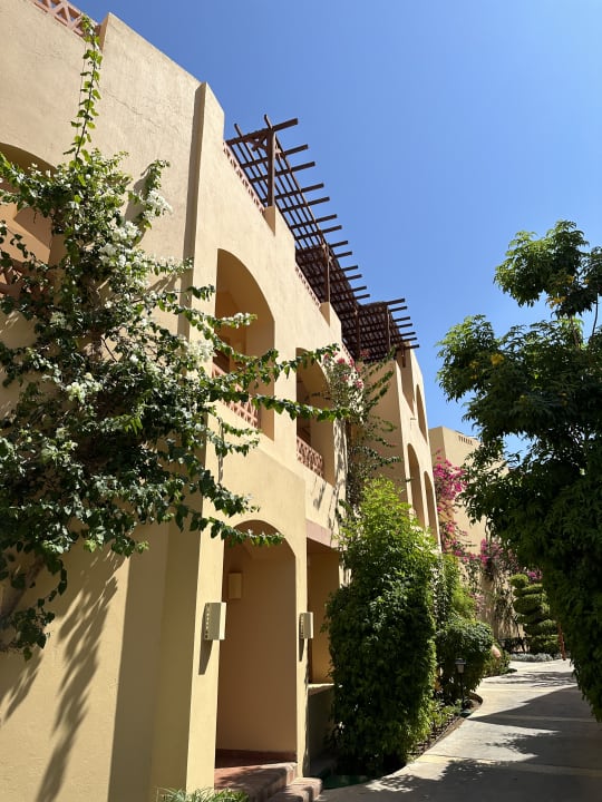 Gartenanlage Steigenberger Coraya Beach - Adults only