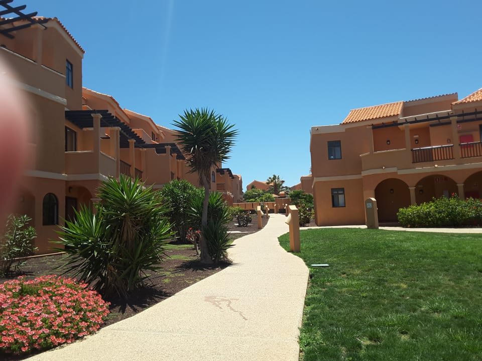 Gartenanlage Bakour Fuerteventura La Pared